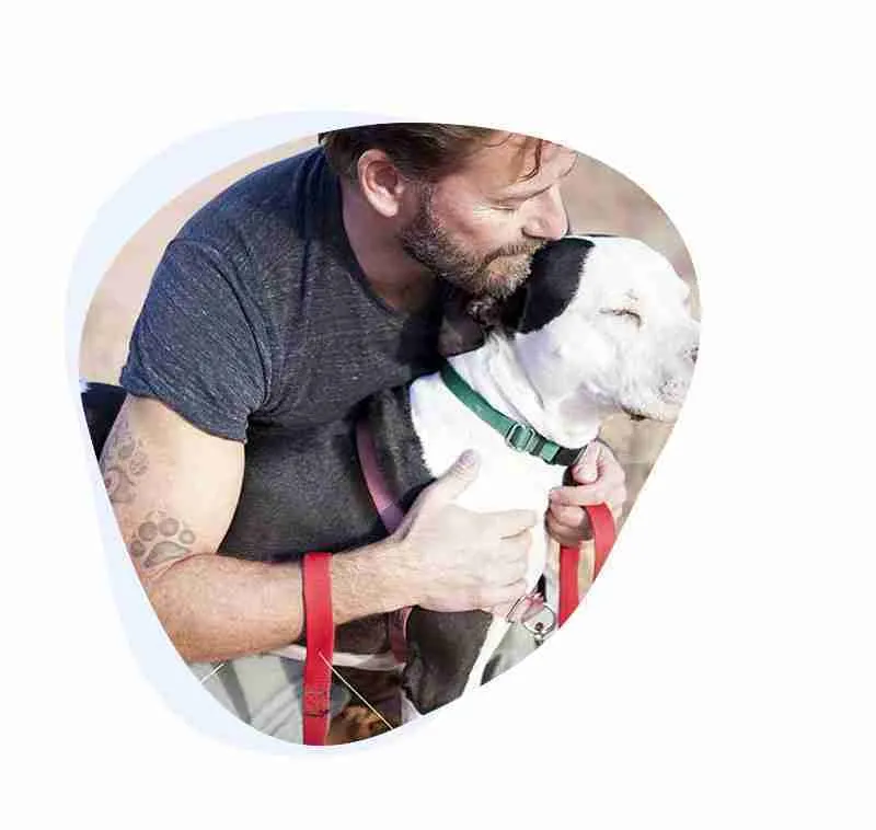 Dog Behavior Modification (Dog Aggression & Anxiety)